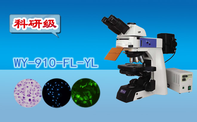 1671081533186168.png 熒光顯微鏡.png